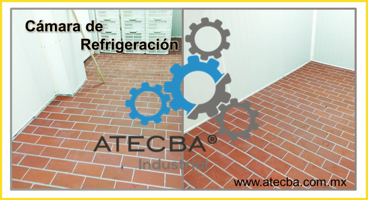 EMPRESAS PLANTAS PROCESADORAS DE CARNE