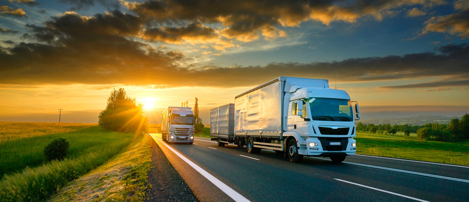 Logística Mundial para el crecimiento de tu PYME - PYME Logistics