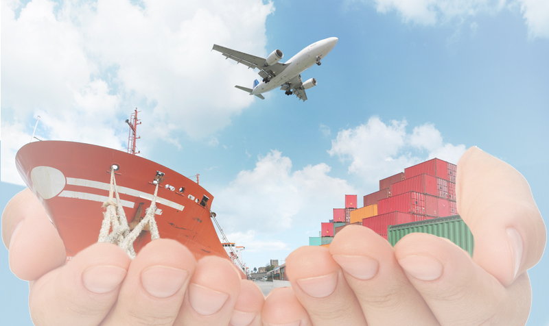 Cargo Seguro