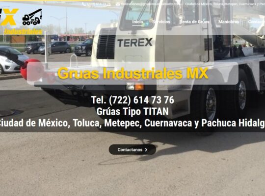 Grúas Industriales MX