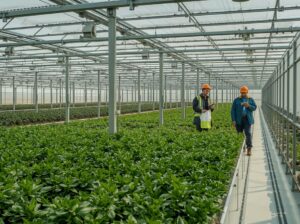 Eficiencia Energética – ECOGRID