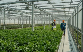 Eficiencia Energética – ECOGRID